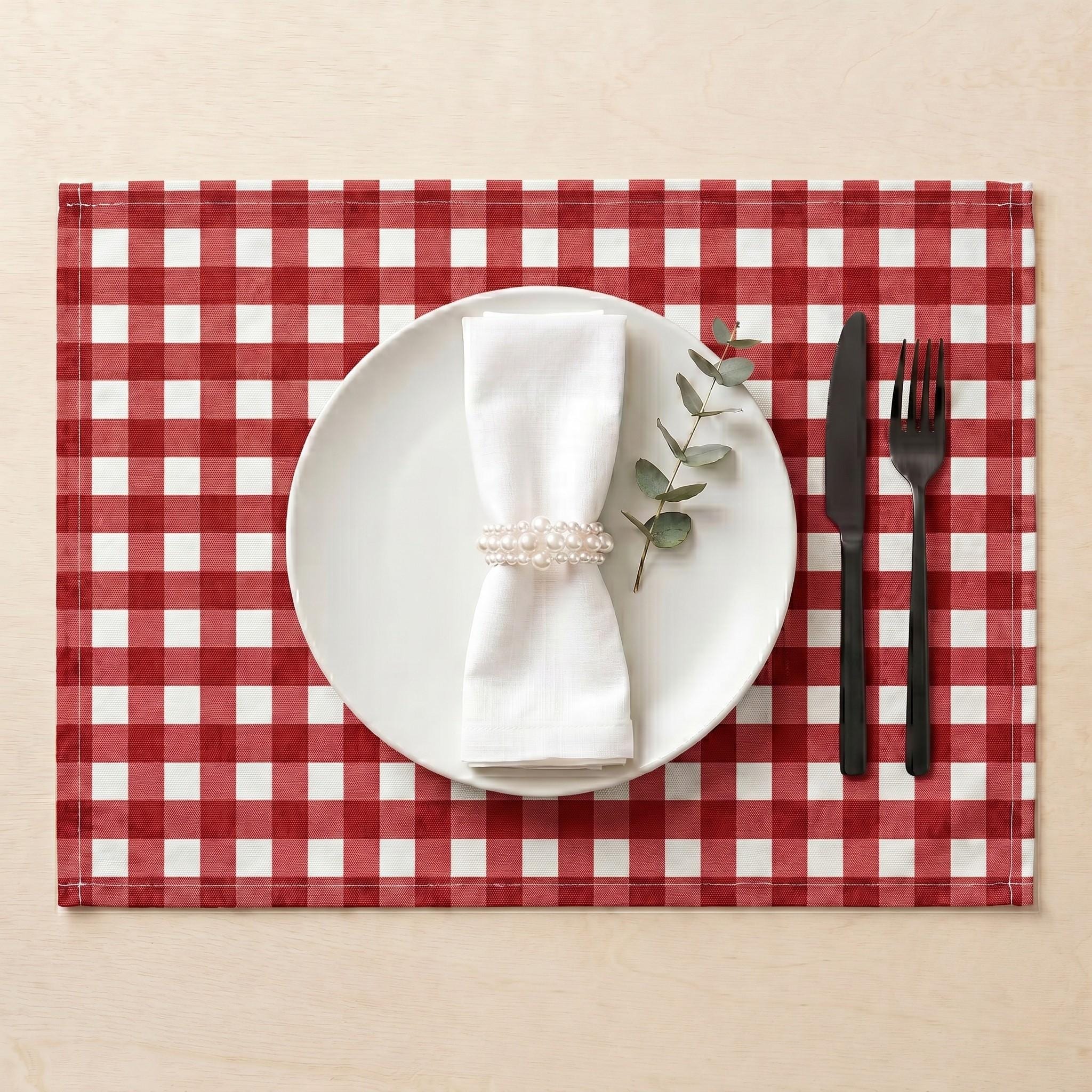 Red gingham placemat set of 4